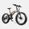 product-image-10-1024x696 Aliquam Sodales